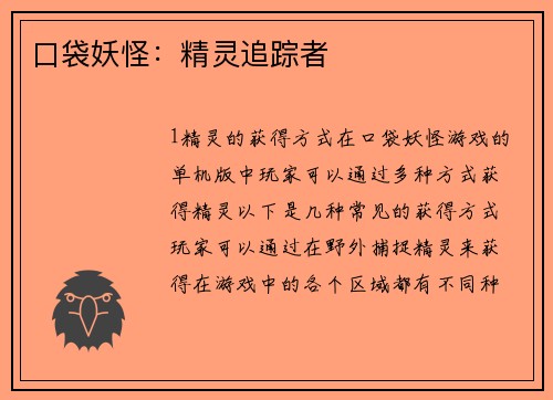 口袋妖怪：精灵追踪者